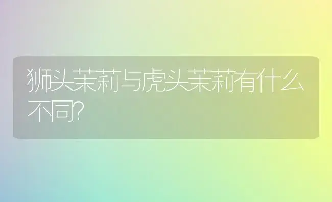 狮头茉莉与虎头茉莉有什么不同？ | 绿植常识