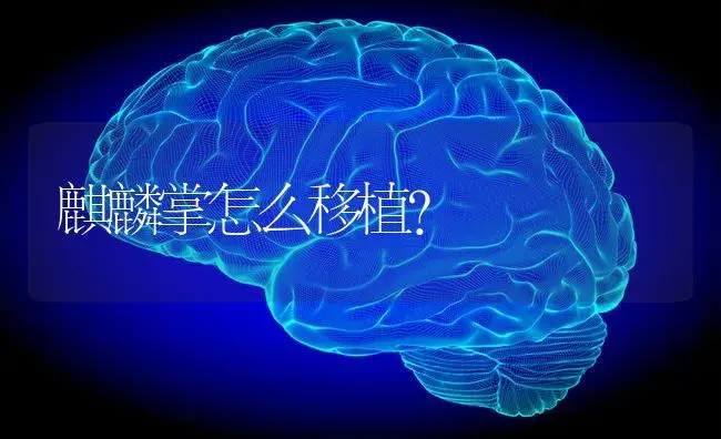 蟹爪兰的养殖方法和注意事项剪枝嫁接？ | 多肉养殖