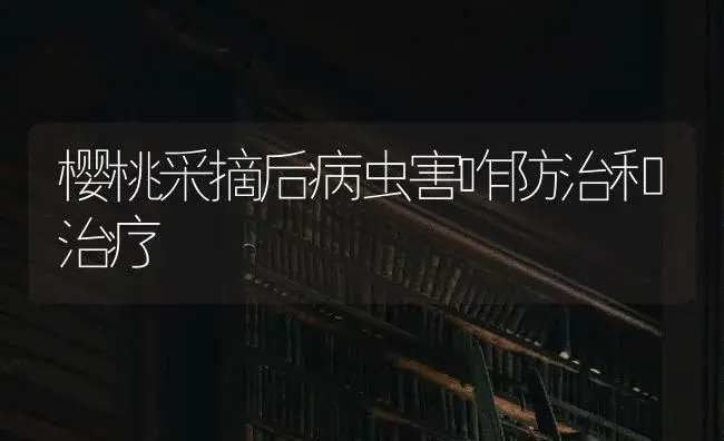 樱桃采摘后病虫害咋防治和治疗 | 果木种植