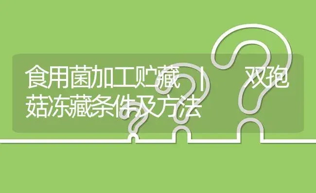 双孢菇冻藏条件及方法 | 菌菇种植