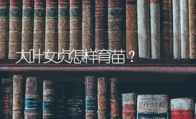 大叶女贞怎样育苗？ | 特种种植