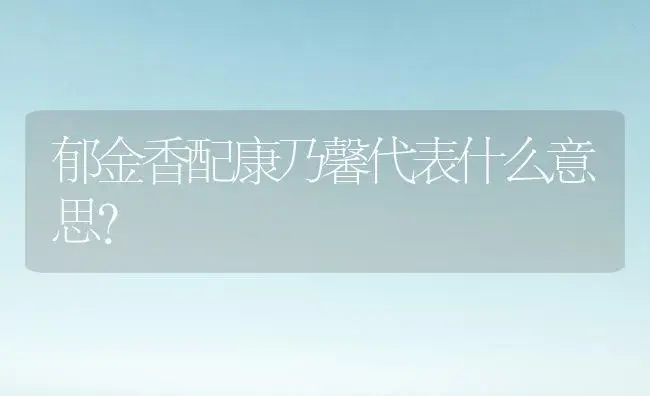 郁金香配康乃馨代表什么意思？ | 绿植常识