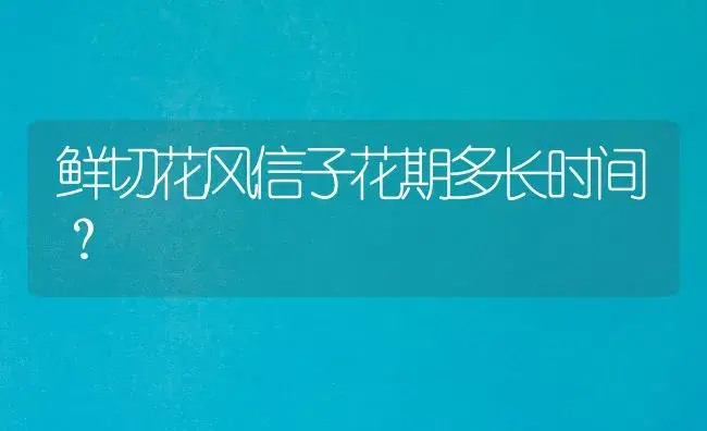 鲜切花风信子花期多长时间？ | 绿植常识