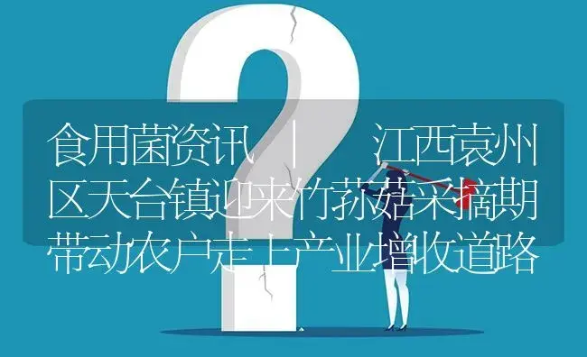 江西袁州区天台镇迎来竹荪菇采摘期 带动农户走上产业增收道路 | 菌菇种植