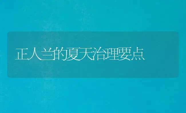 正人兰的夏天治理要点 | 家庭养花