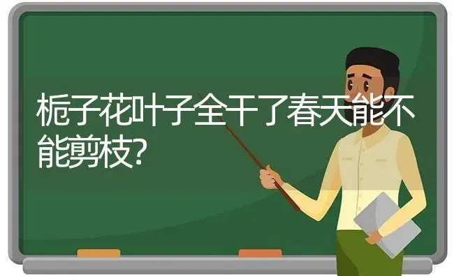 栀子花叶子全干了春天能不能剪枝？ | 绿植常识