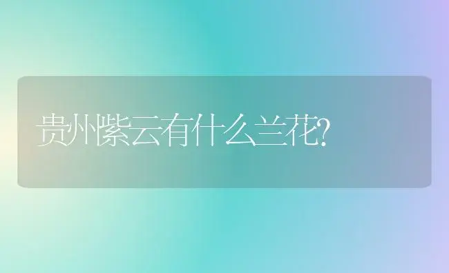 白色紫边康乃馨花语？ | 绿植常识