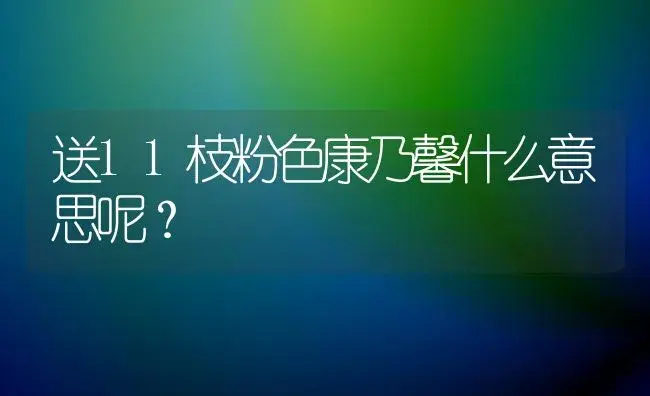 送11枝粉色康乃馨什么意思呢？ | 绿植常识