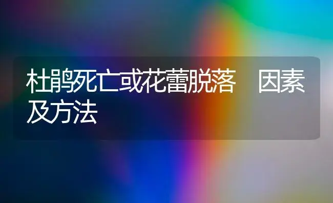 杜鹃死亡或花蕾脱落 因素及方法 | 家庭养花