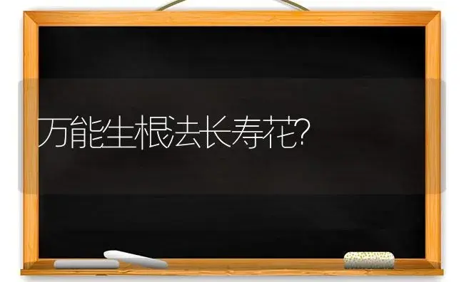 万能生根法长寿花？ | 多肉养殖