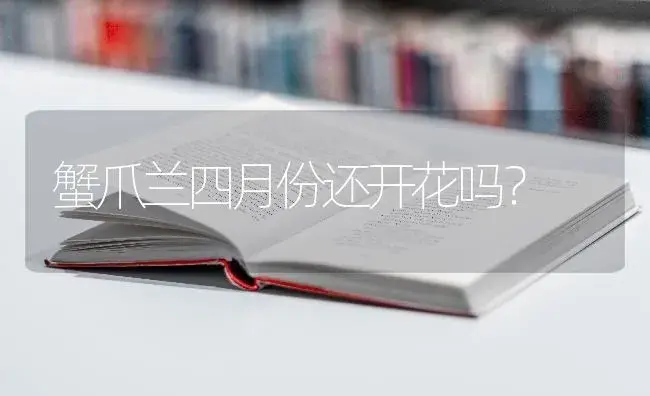 蟹爪兰四月份还开花吗？ | 多肉养殖