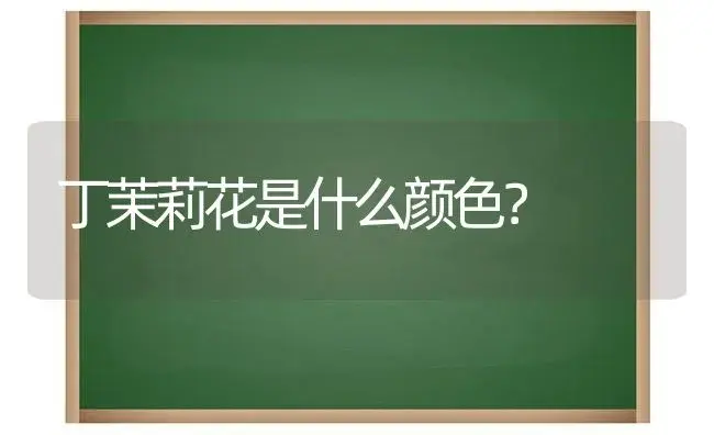 女生说喜欢百合花是什么意思啊？ | 绿植常识