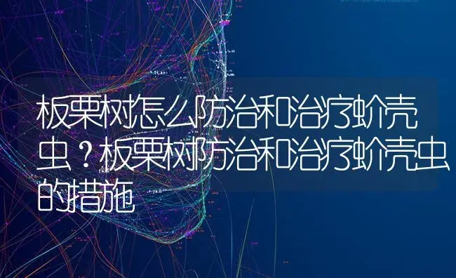 板栗树怎么防治和治疗蚧壳虫？板栗树防治和治疗蚧壳虫的措施 | 果木种植