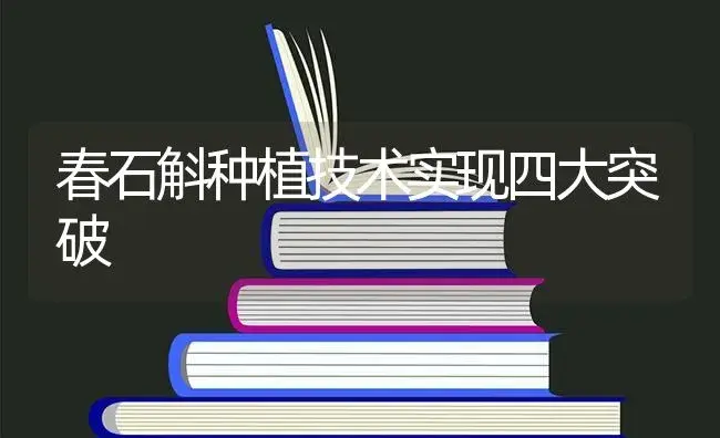 春石斛种植技术实现四大突破 | 特种种植