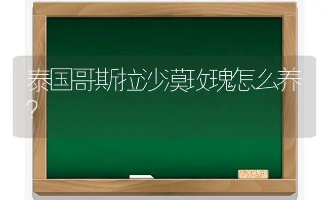 泰国哥斯拉沙漠玫瑰怎么养？ | 绿植常识