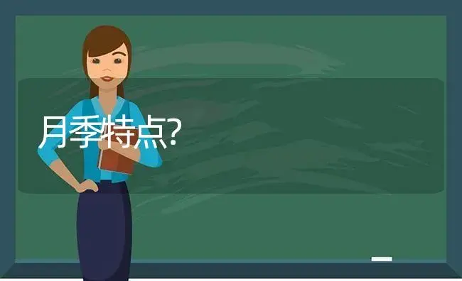 月季特点？ | 绿植常识