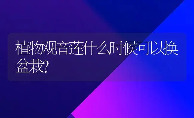 植物观音莲什么时候可以换盆栽？ | 多肉养殖