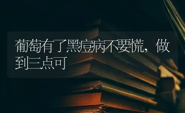 葡萄有了黑痘病不要慌，做到三点可 | 果木种植