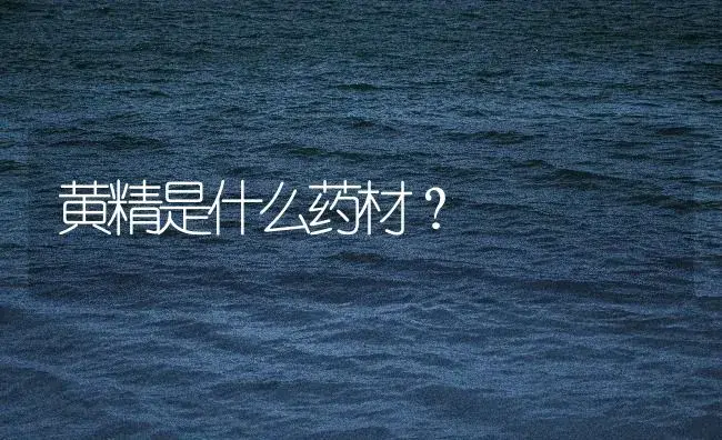 黄精是什么药材？ | 药材种植