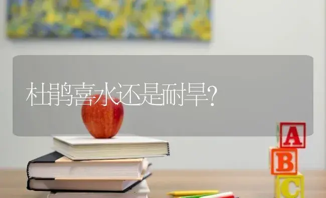 杜鹃喜水还是耐旱？ | 绿植常识