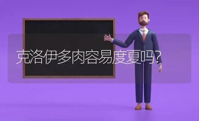 克洛伊多肉容易度夏吗？ | 多肉养殖