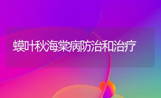 蟆叶秋海棠病防治和治疗 | 家庭养花