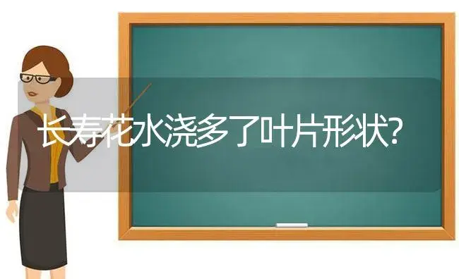 长寿花水浇多了叶片形状？ | 多肉养殖