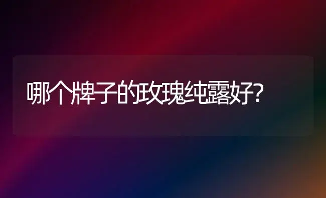 哪个牌子的玫瑰纯露好？ | 绿植常识