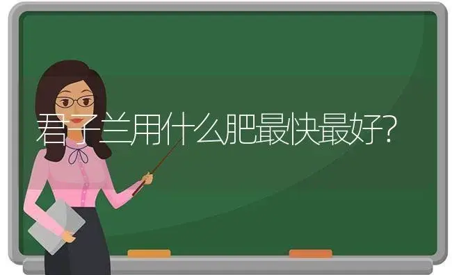 君子兰用什么肥最快最好？ | 绿植常识