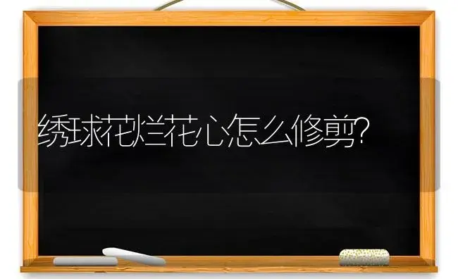 绣球花烂花心怎么修剪？ | 绿植常识