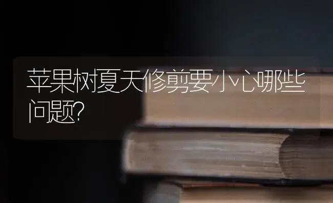 苹果树夏天修剪要小心哪些问题？ | 果木种植