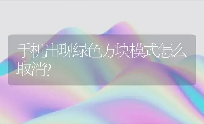 手机出现绿色方块模式怎么取消？ | 多肉养殖