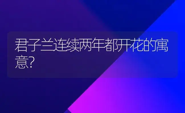 君子兰连续两年都开花的寓意？ | 绿植常识