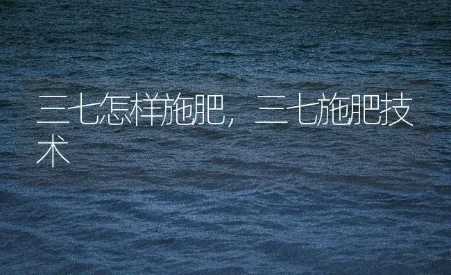 三七怎样施肥，三七施肥技术 | 药材种植