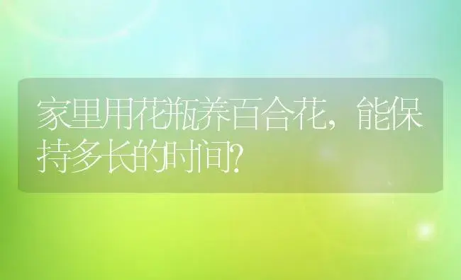 家里用花瓶养百合花，能保持多长的时间？ | 绿植常识