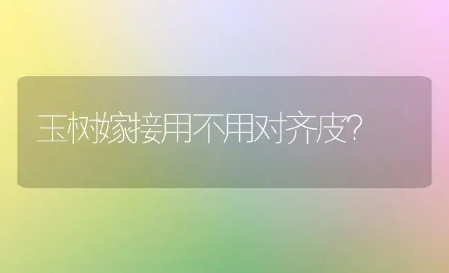 玉树嫁接用不用对齐皮？ | 多肉养殖