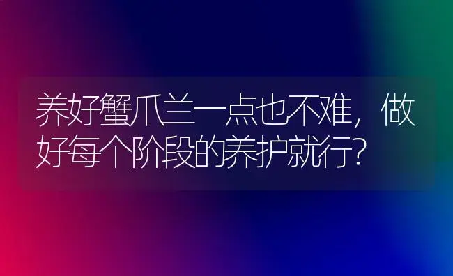 养好蟹爪兰一点也不难,做好每个阶段的养护就行？ | 多肉养殖