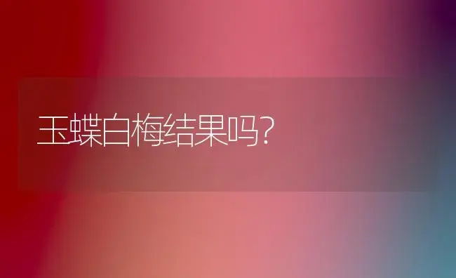 玉蝶白梅结果吗？ | 多肉养殖