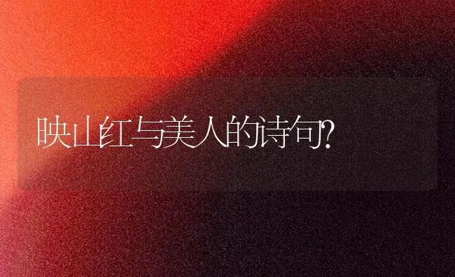 映山红与美人的诗句？ | 绿植常识