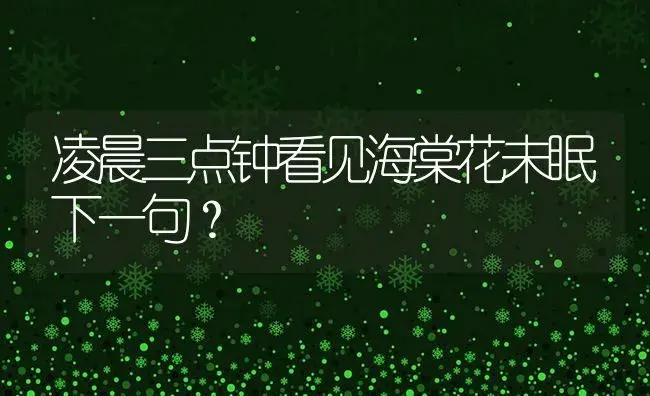 凌晨三点钟看见海棠花未眠下一句？ | 绿植常识