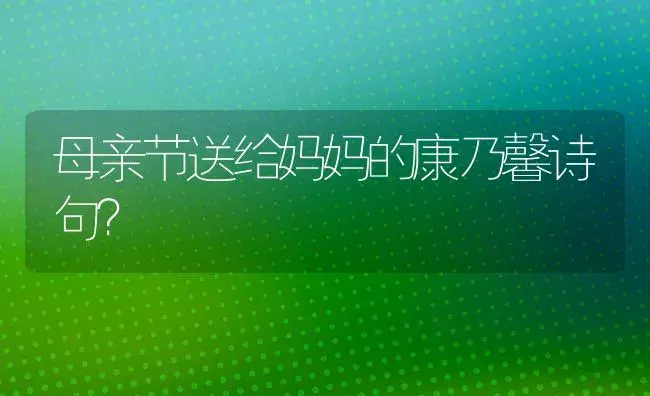 母亲节送给妈妈的康乃馨诗句？ | 绿植常识