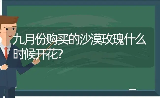 九月份购买的沙漠玫瑰什么时候开花？ | 绿植常识