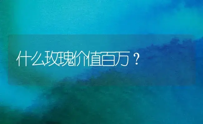 什么玫瑰价值百万？ | 绿植常识