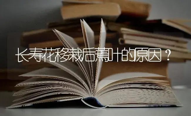 长寿花移栽后蔫叶的原因？ | 多肉养殖