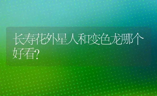 长寿花外星人和变色龙哪个好看？ | 多肉养殖