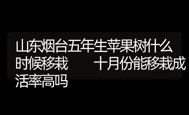 山东烟台五年生苹果树什么时候移栽  十月份能移栽成活率高吗 | 果木种植