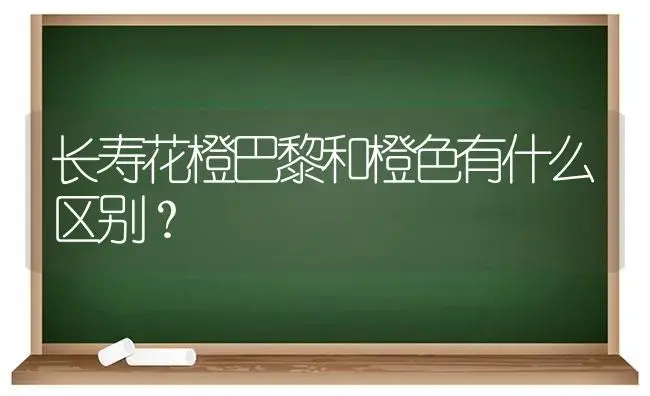 长寿花橙巴黎和橙色有什么区别？ | 多肉养殖