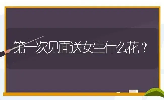 第一次见面送女生什么花？ | 绿植常识