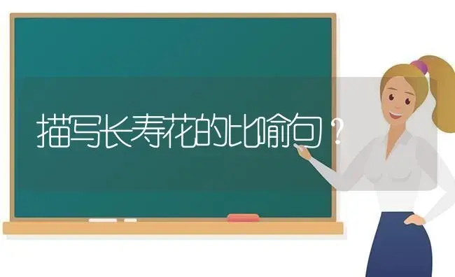 描写长寿花的比喻句？ | 多肉养殖