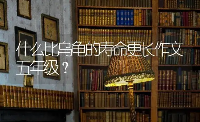 什么比乌龟的寿命更长作文五年级？ | 多肉养殖